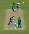 Download 'Championship Cricket (176x208)' to your phone